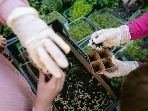Foto-priča drugog dana 19. Monte Librića