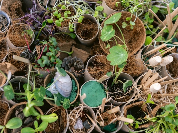 Foto-priča drugog dana 19. Monte Librića