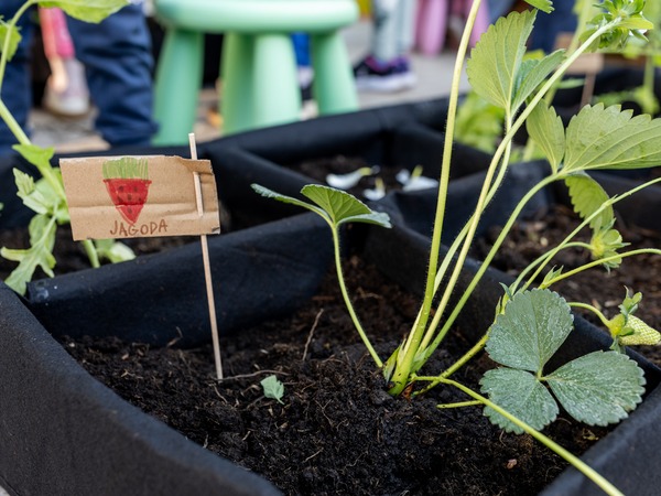 Foto-priča trećeg dana 19. Monte Librića