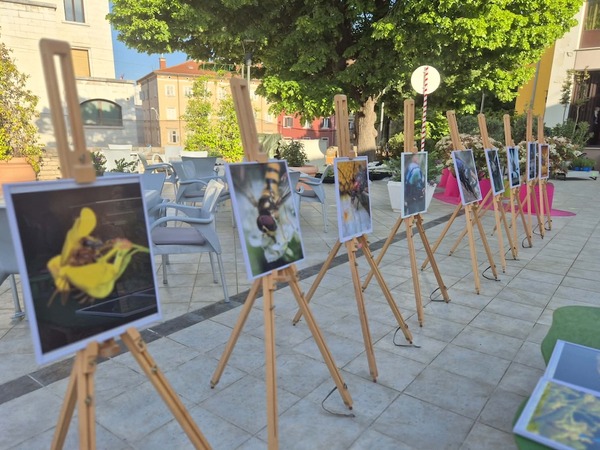 Foto-priča šestog dana 19. Monte Librića