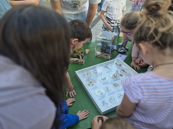 Foto-priča šestog dana 19. Monte Librića